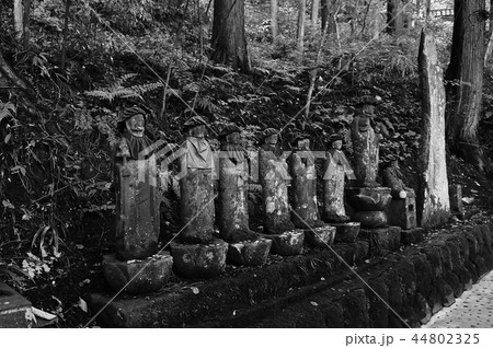 別所温泉安楽寺地蔵 別所温泉安楽寺地蔵 44802325