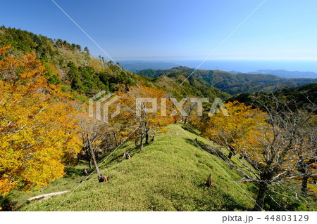 秋の大台ケ原(奈良県吉野郡上北山村) 秋の大台ケ原(奈良県吉野郡上北山村) 44803129