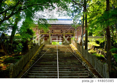 伊勢・朝熊岳金剛證寺・荘厳な仁王門を見上げる(1) 伊勢・朝熊岳金剛證寺・荘厳な仁王門を見上げる(1) 44805085