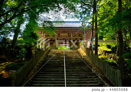 伊勢・朝熊岳金剛證寺・荘厳な仁王門を見上げる（２） 44805088