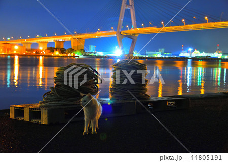 【工場夜景】　潮見埠頭　海猫　トリトン 44805191