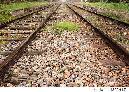 railway in the forest 44805917