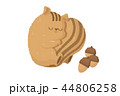 冬眠 リス どんぐり 44806258