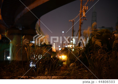 <夜景>　立体交差　陸橋　高架　高架下　 44806503