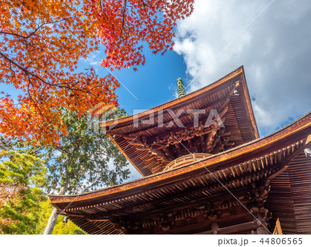 Wooden pagoda with autumn leaves 44806565