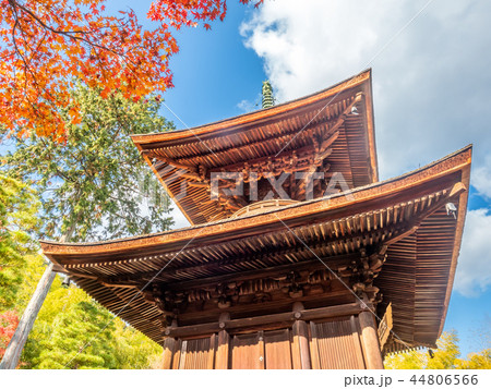 Wooden pagoda with autumn leaves 44806566