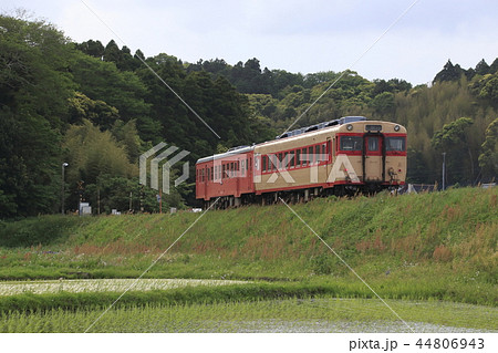いすみ鉄道の急行列車（キハ52+キハ28） 44806943