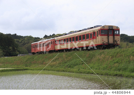 いすみ鉄道の急行列車（キハ52+キハ28） 44806944