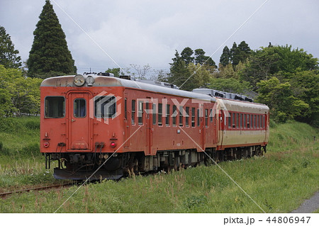 いすみ鉄道の急行列車 キハ52 キハ28 の写真素材