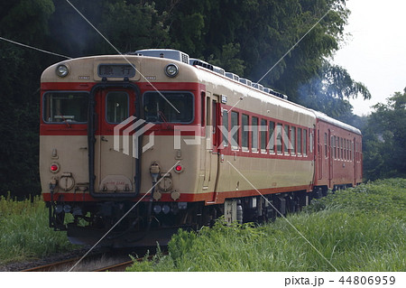 いすみ鉄道の急行列車(キハ52+キハ28) いすみ鉄道の急行列車(キハ52+キハ28) 44806959