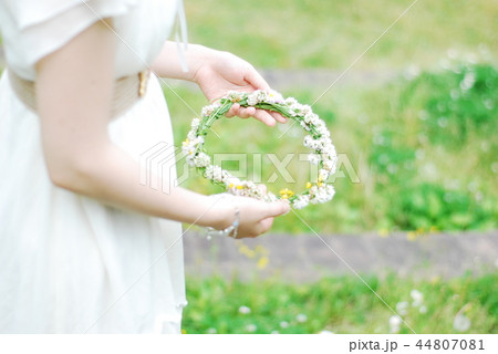 花冠 44807081