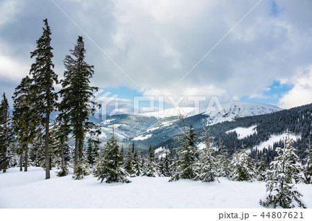 Winter with snow in the Giant Mountains 44807621