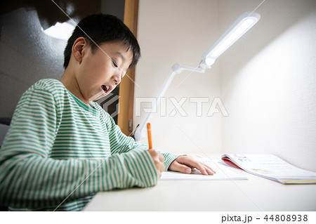 勉強する小学3年生　 44808938