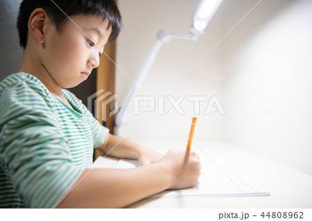 勉強する小学3年生　 44808962