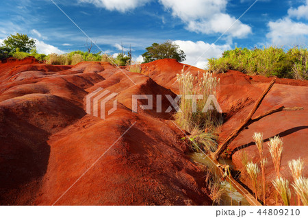 Famous red dirt of Waimea Canyon in Kauai 44809210