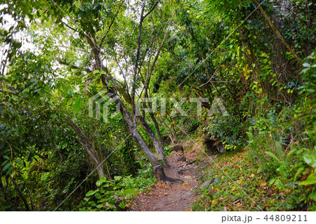 View of famous Kalalau trail along Na Pali coast  44809211