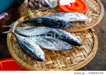 Fresh fish for sale on the street market 44809240