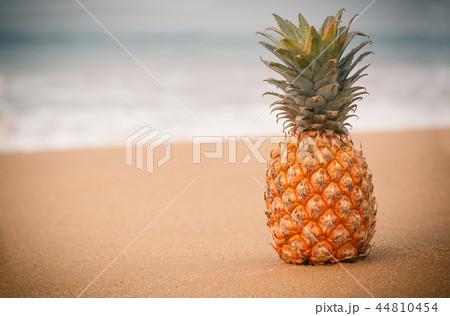 toned photo of pineapple 44810454