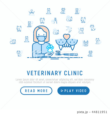 Veterinary clinic concept. Thin line icons 44811951