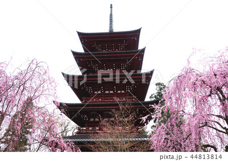最勝院・青森 最勝院・青森 44813814