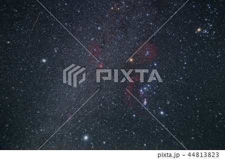 オリオン座と流星 オリオン座と流星 44813823