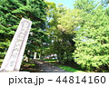 諏訪大社 諏訪大社 44814160