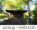 諏訪大社 諏訪大社 44814161