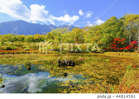 鳥甲山と秋の天池 鳥甲山と秋の天池 44814591