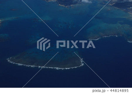 サンゴ礁 44814895