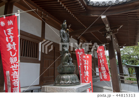 長楽寺　ぼけ封じ観世音菩薩　群馬県太田市歴史公園 44815313