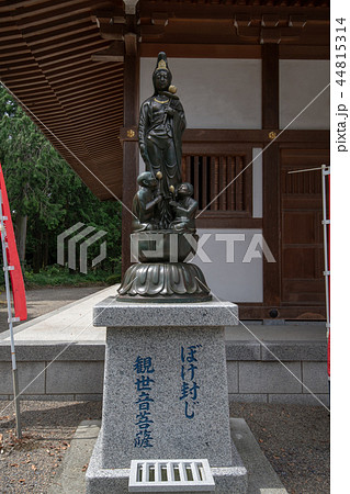 長楽寺　ぼけ封じ観世音菩薩　群馬県太田市歴史公園 44815314