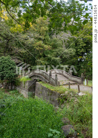 蓮池と渡月橋　群馬県太田市歴史公園 44815654