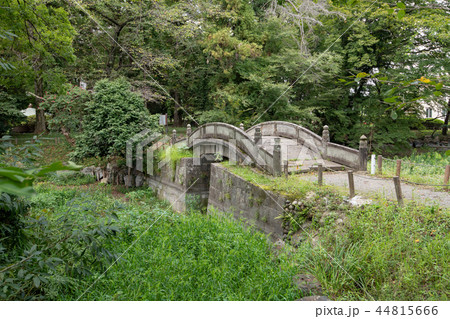 蓮池と渡月橋　群馬県太田市歴史公園 44815666