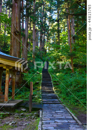 羽黒山　スギ並木　石段 44815765