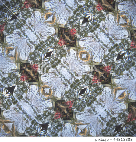 洗足池公園のイメージ 44815808