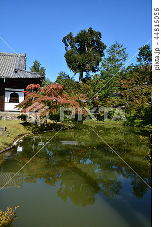 高台寺開山堂 44816056