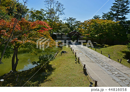 高台寺開山堂 高台寺開山堂 44816058