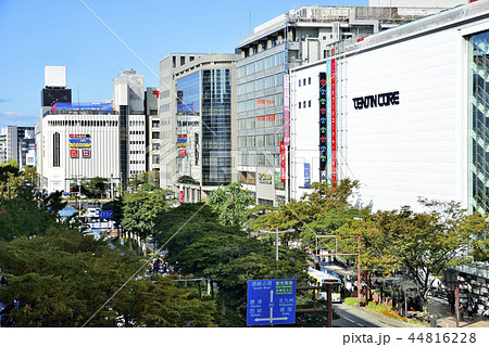 福岡市天神の街並み 44816228