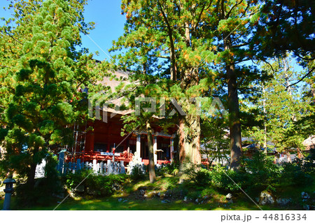 羽黒山三神合祭殿 羽黒山三神合祭殿 44816334