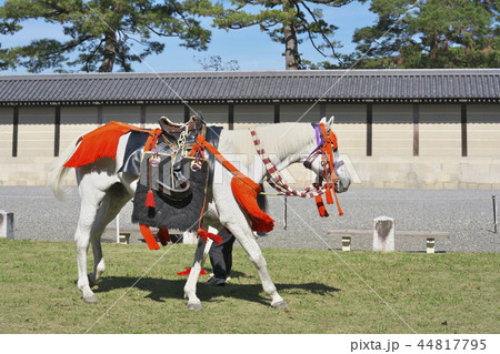 時代祭の馬 44817795