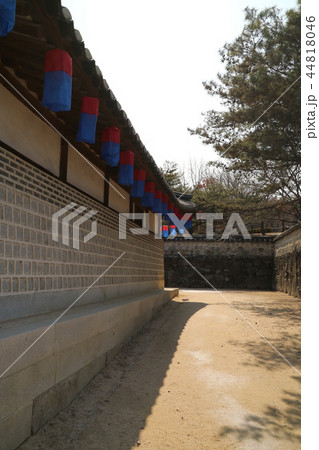 庁舎提灯 建築 建物 44818046