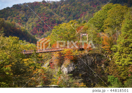 紅葉 夕張 滝の上公園 の写真素材