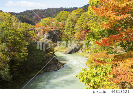 紅葉 ~夕張 滝の上公園~ 44818521