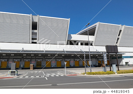 豊洲市場 44819345