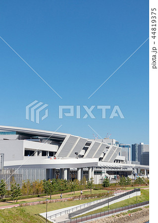 豊洲市場 44819375