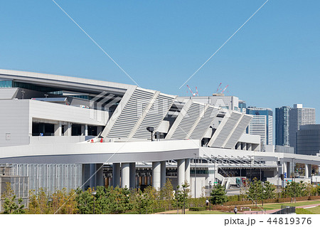 豊洲市場 44819376