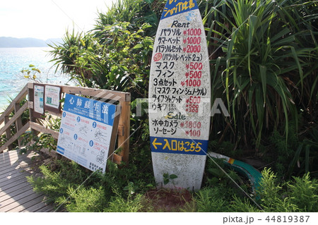 沖縄の海　沖縄　おきなわ　座間味島　古座間味ビーチ　慶良間諸島　離島　南国　ビーチ　日本　砂地　海 44819387
