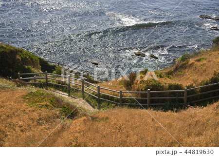 三浦半島【秋】城ヶ島公園ハイキングコースの階段 三浦半島【秋】城ヶ島公園ハイキングコースの階段 44819630