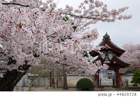誓願寺 弘前市 誓願寺 弘前市 44820728