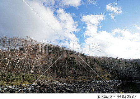 札幌空沼岳　真簾沼周辺風景 44820837